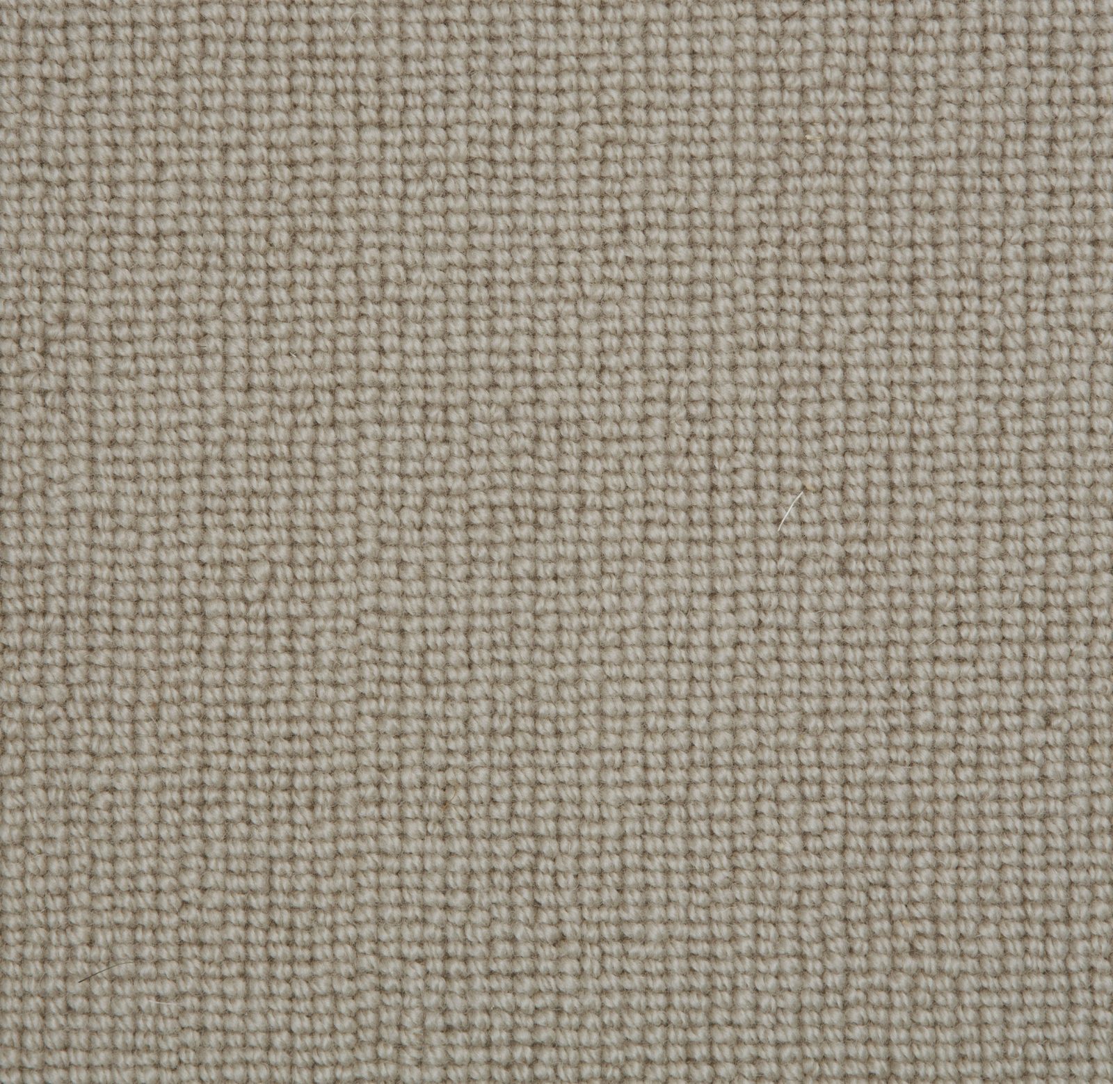 Biscayne_Wild_Mushroom_BS120_0