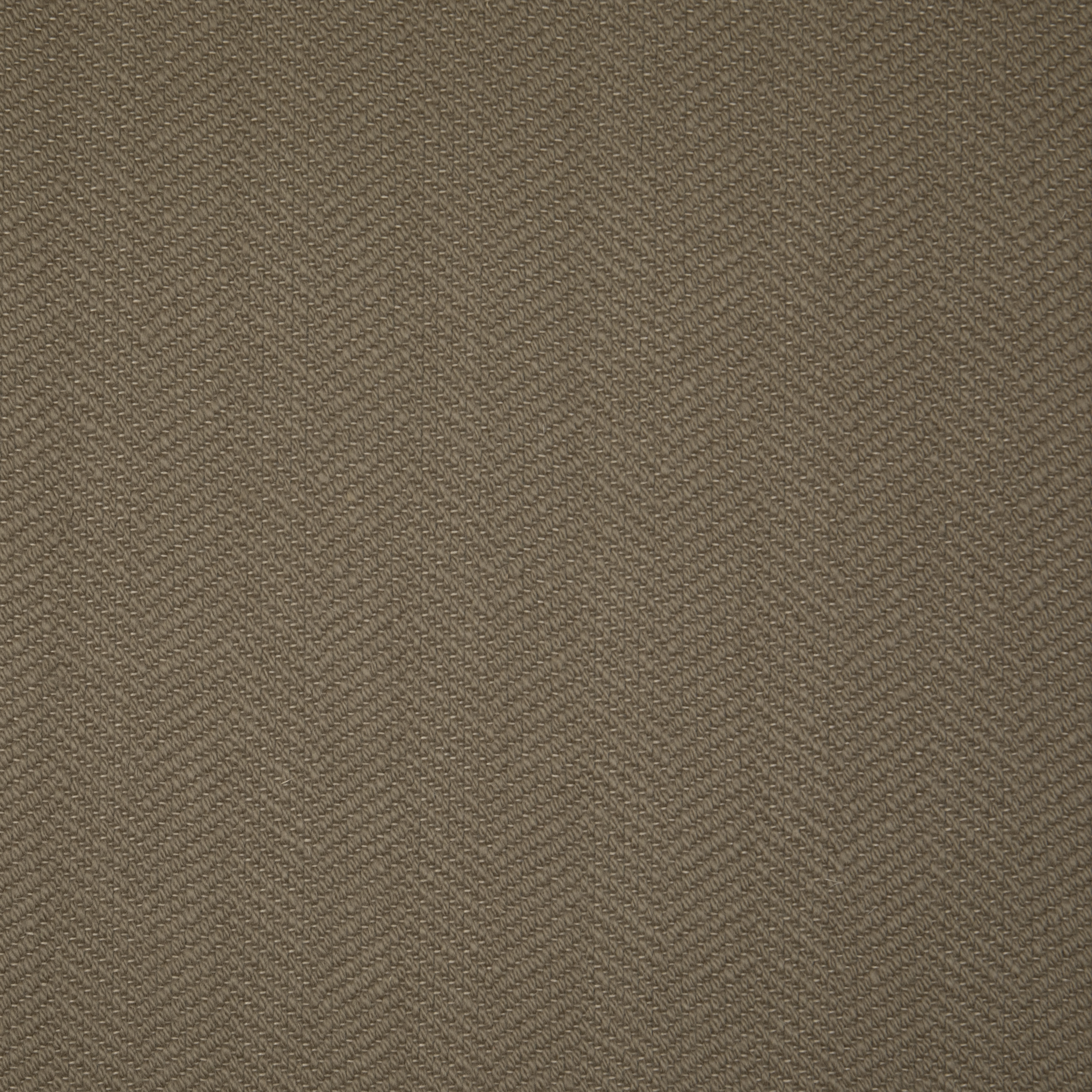 Soft Umber