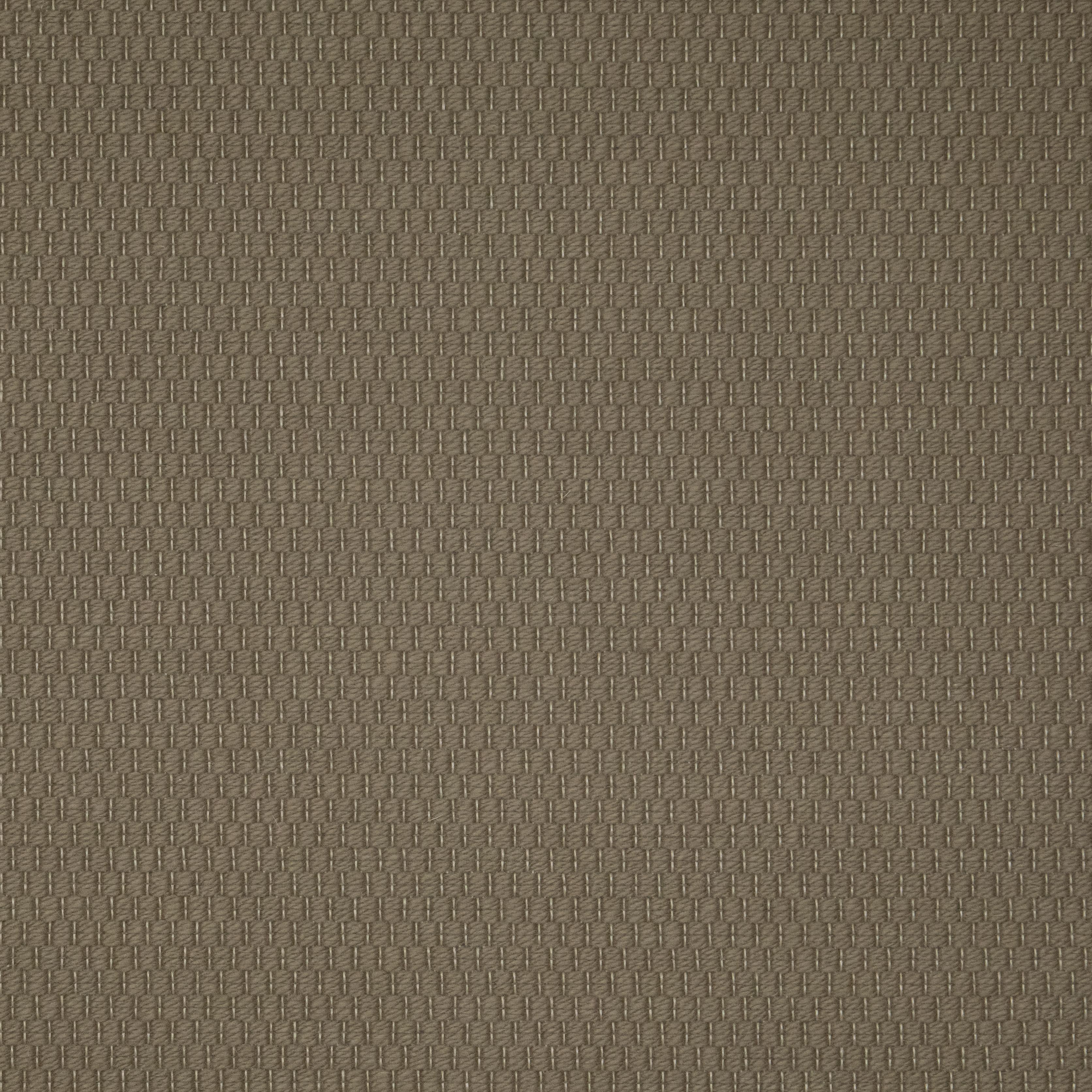 Soft Umber